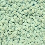 Church Incense Night Flower